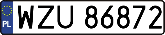WZU86872