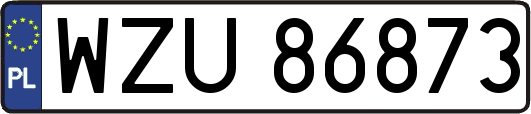 WZU86873