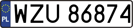 WZU86874