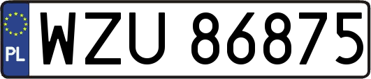 WZU86875