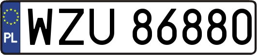 WZU86880