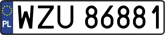 WZU86881