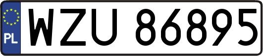 WZU86895