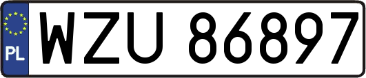 WZU86897