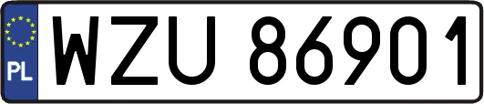 WZU86901