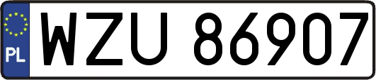 WZU86907