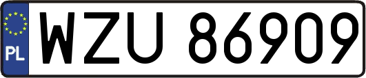 WZU86909
