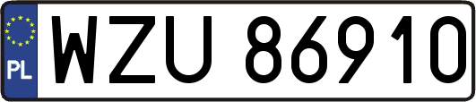 WZU86910