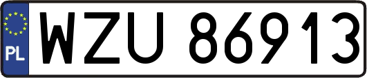 WZU86913