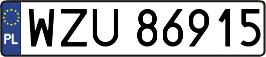 WZU86915