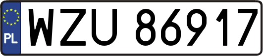 WZU86917