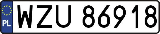 WZU86918