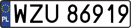 WZU86919