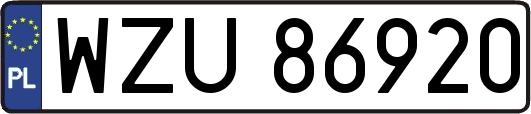 WZU86920