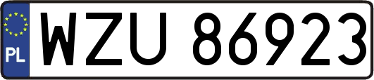 WZU86923
