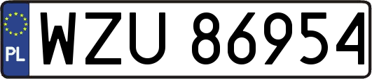 WZU86954