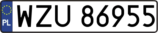 WZU86955