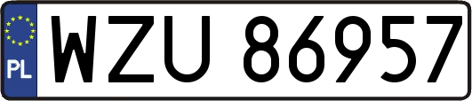 WZU86957