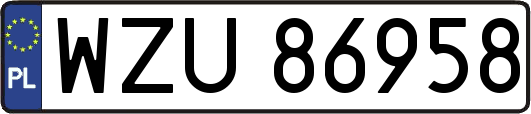 WZU86958