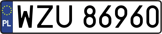 WZU86960