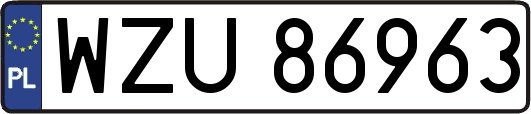 WZU86963