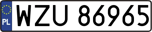 WZU86965