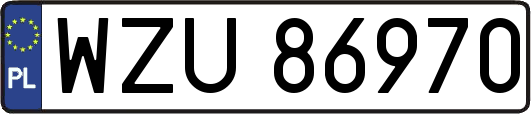 WZU86970
