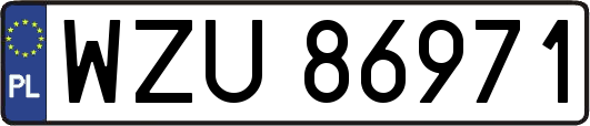 WZU86971