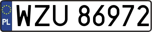 WZU86972