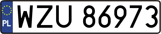 WZU86973