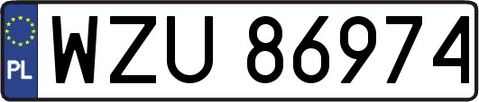 WZU86974