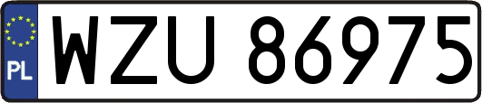WZU86975