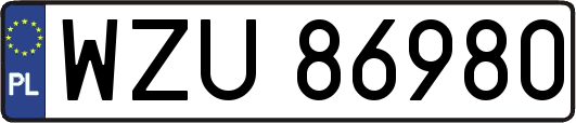 WZU86980