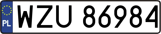 WZU86984