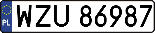 WZU86987
