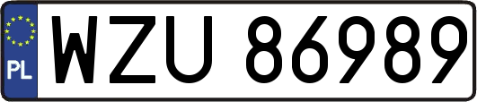 WZU86989
