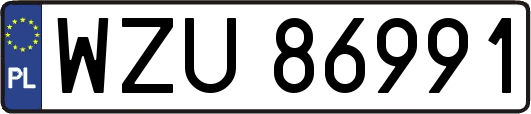 WZU86991