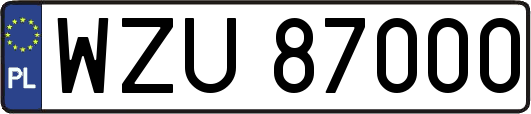 WZU87000