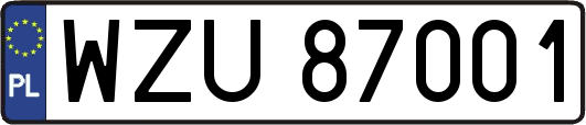 WZU87001