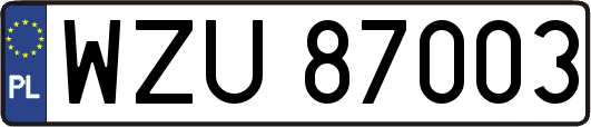 WZU87003