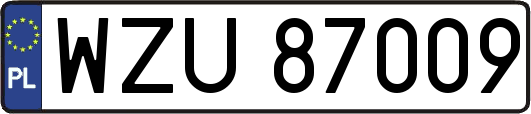 WZU87009