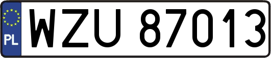 WZU87013