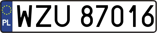 WZU87016