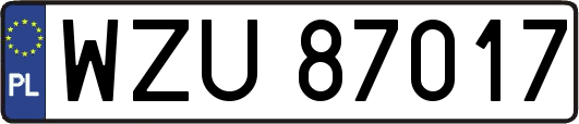 WZU87017
