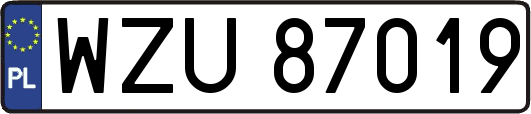 WZU87019