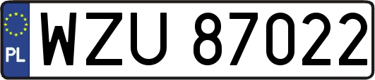 WZU87022