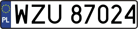 WZU87024