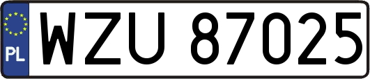 WZU87025