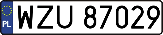 WZU87029