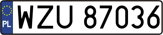 WZU87036